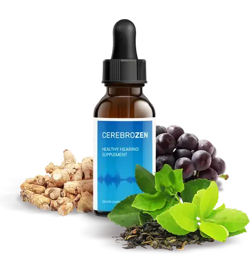 CerebroZen Review